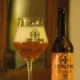 Bière Gratitude BIO - 33cl - Mage Malte