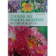 Cultiver des plantes méllifères, 