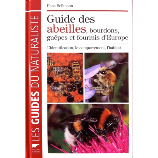 Guide des abeilles, bourdons, guêpes et fourmis d'Europe