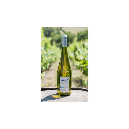 Muscadet Coteaux de La Loire "Les Chailloux" 75cl - Domaine des Galloires