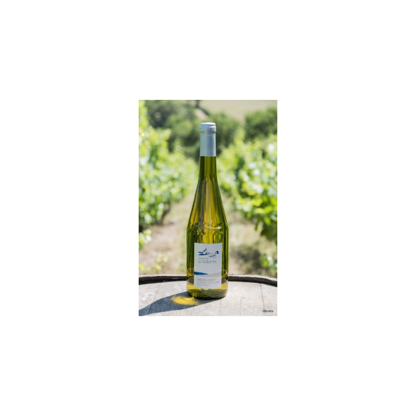 Muscadet Coteaux de La Loire "Les Chailloux" 75cl - Domaine des Galloires