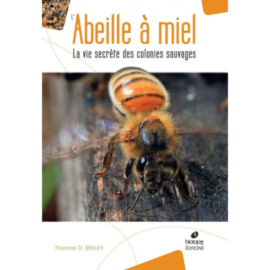 L'abeille à Miel - La Vie Secrete des Colonies Sauvage