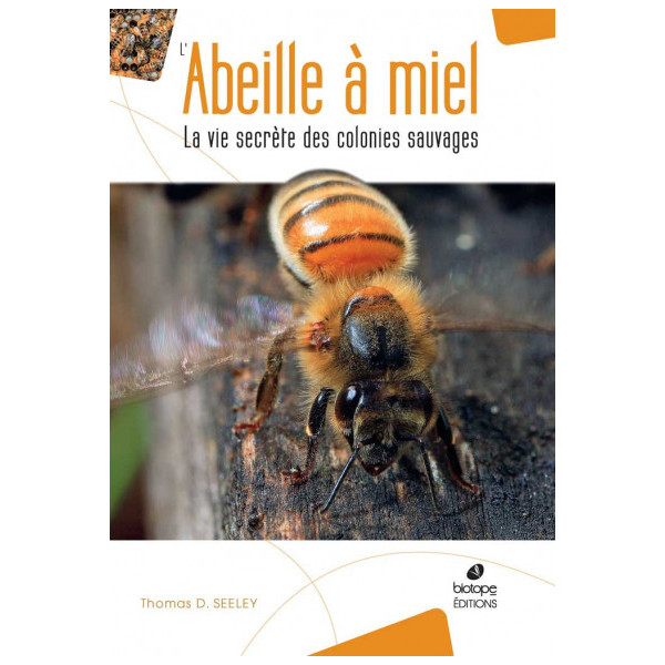 L'abeille à Miel - La Vie Secrete des Colonies Sauvage