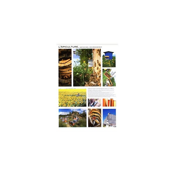 Affiche L'apiculture