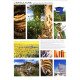Affiche L'apiculture