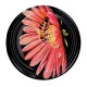 Capsule NOIRE Fleur Rose Abeille
