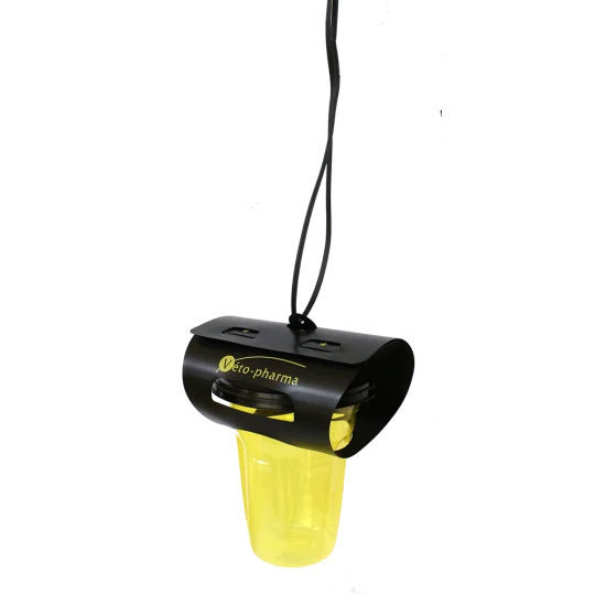 Piège Vetopharma, Frelon Asiatique 