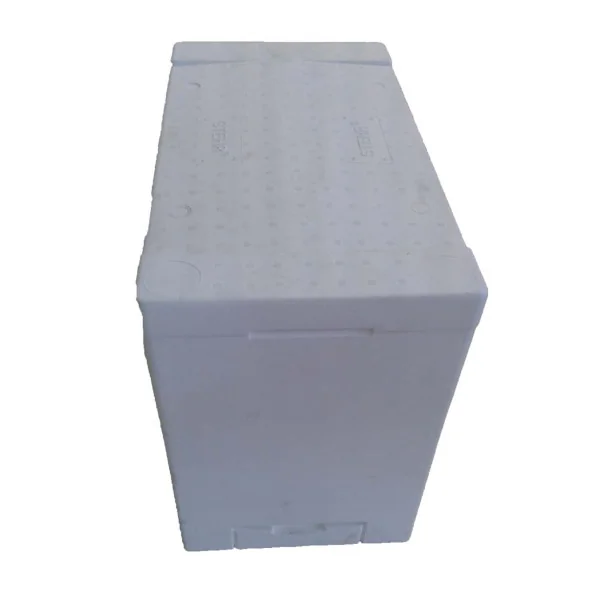 Ruchette Stehr Polystyrène Dadant 6 Cadres