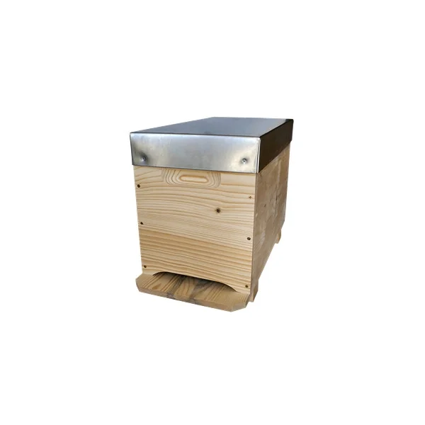 Ruchette 6 Cadres ECO