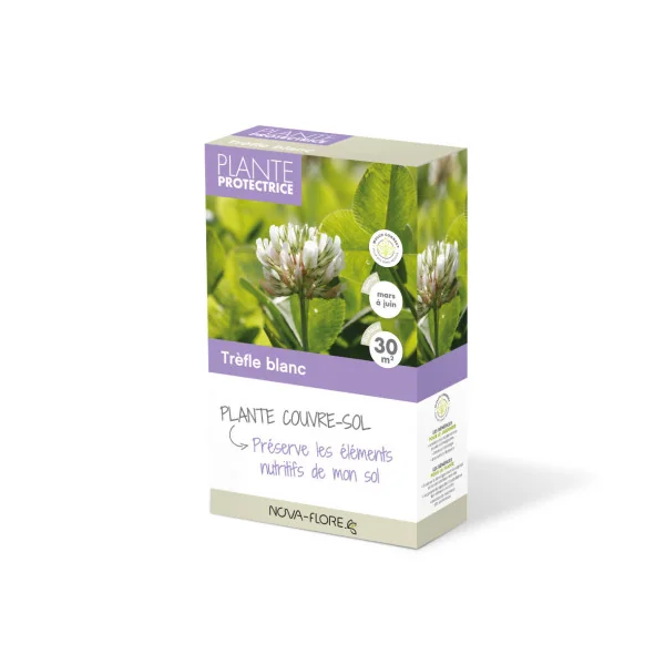 Graines Trefle Blanc - 30m2 