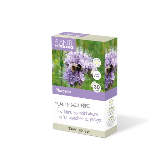 Graines Phacelie - 30m2 