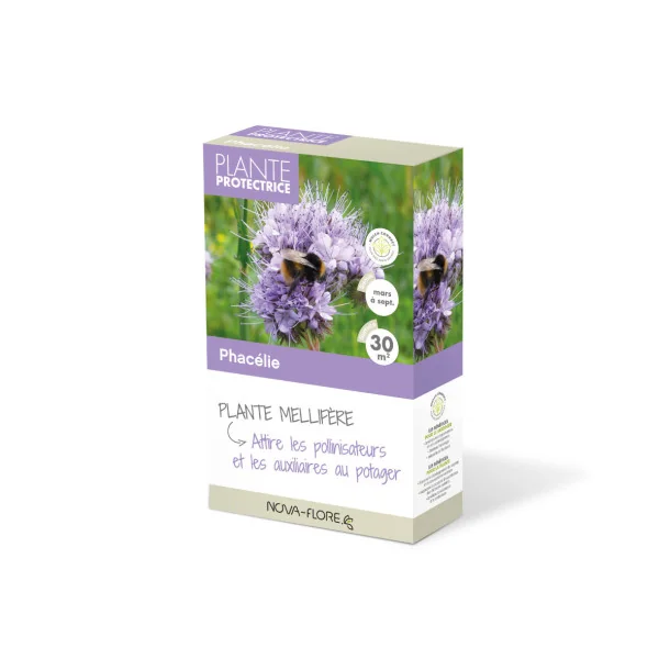 Graines Phacelie - 30m2 
