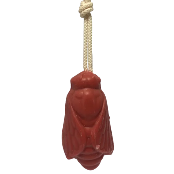 Savon en Forme d'Abeille avec Corde Fraise 100 gr