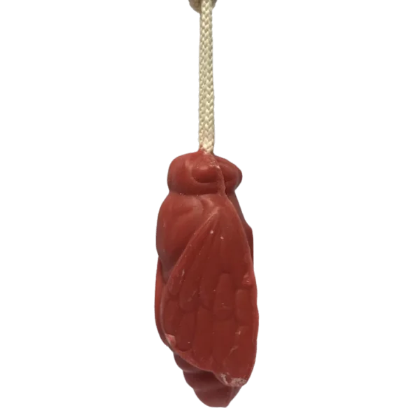 Savon en Forme d'Abeille avec Corde Fraise 100 gr