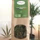 Tisane Pur Chanvre -TerramedisTisane Pur Chanvre -Terramedis