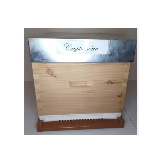 Ruche compléte Dadant 10c Tenon Paulownia