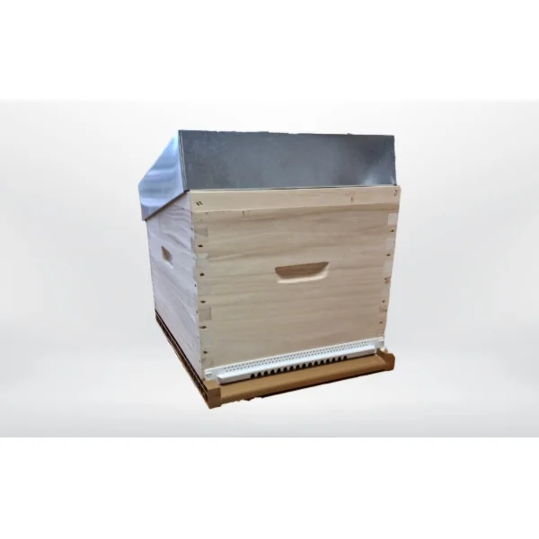 Ruche Dadant 10c Paulownia sans nourrisseur