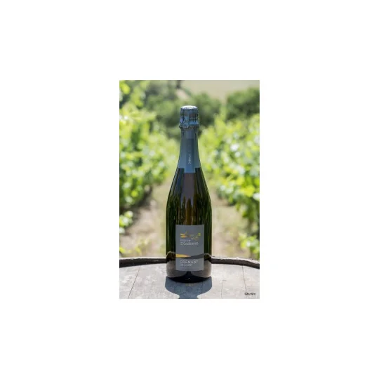 Crémant de Loire 75cl - Domaine des Galloires