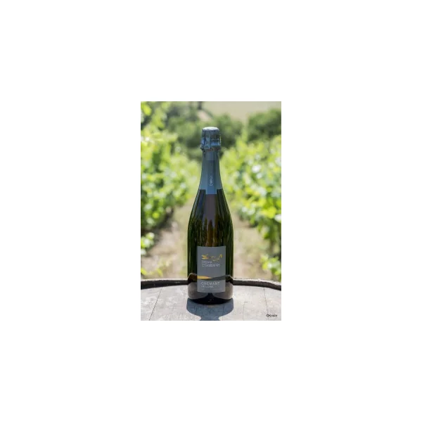 Crémant de Loire 75cl - Domaine des Galloires
