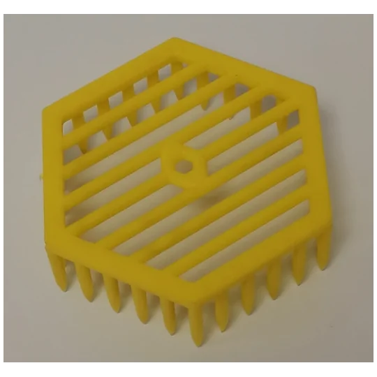 Cage pour bloquer la reine