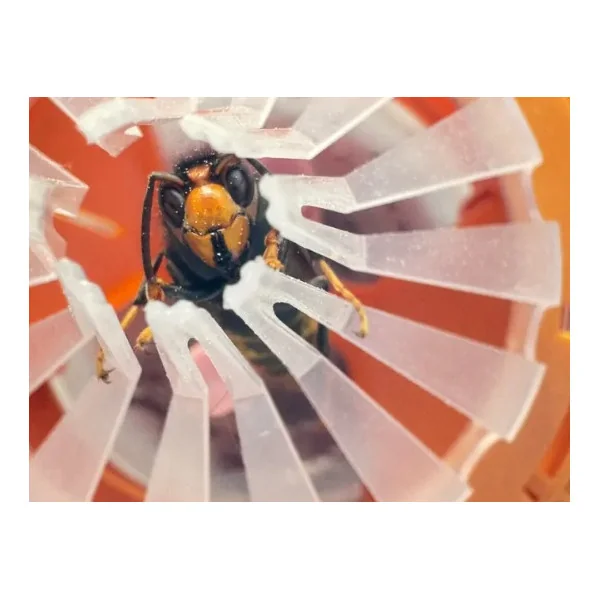 Piège à Frelons Good4Bees