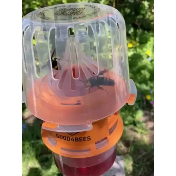 Piège à Frelons Good4Bees