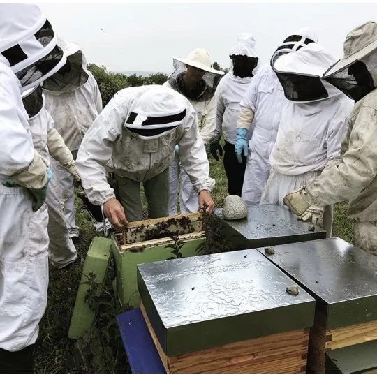 Immersion apiculture 1/2 Journée -Decouverte de l 'Apiculture