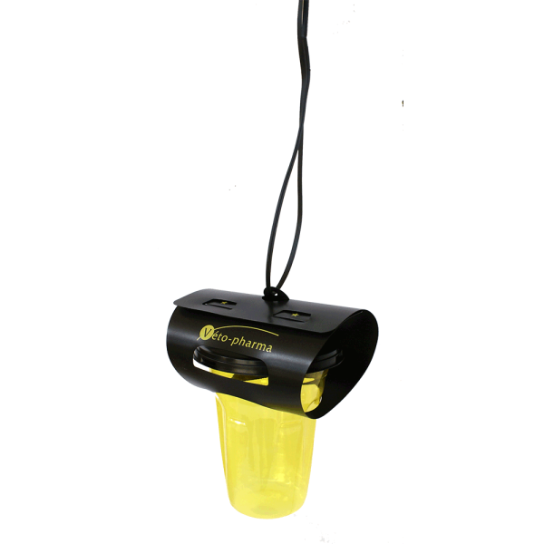 Piège Vetopharma, Frelon Asiatique