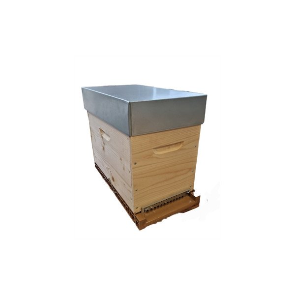 Ruchette complète T1