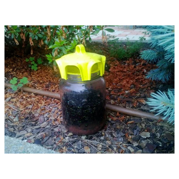 Vaso Trap - Piège pour Pot en Verre - Le Sachet de 2 