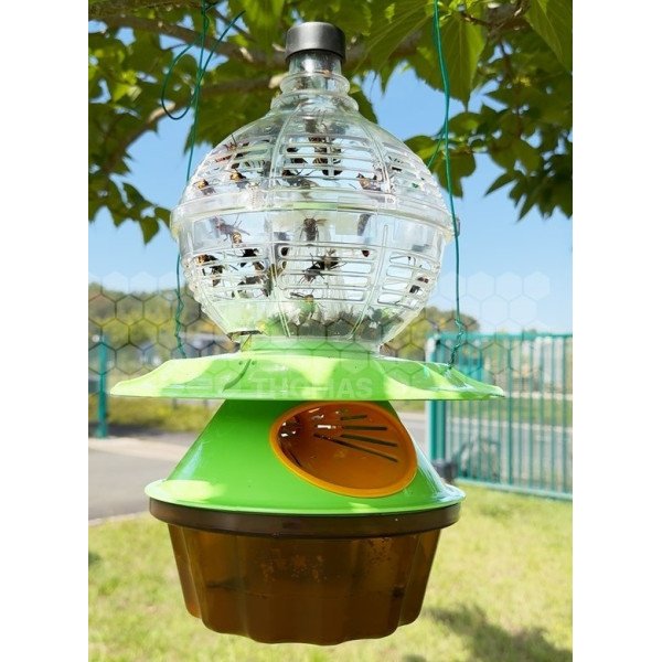 Piège à frelons asiatiques Osaka Sélect type Japonais