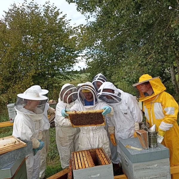 Formation Initiation à l'Apiculture