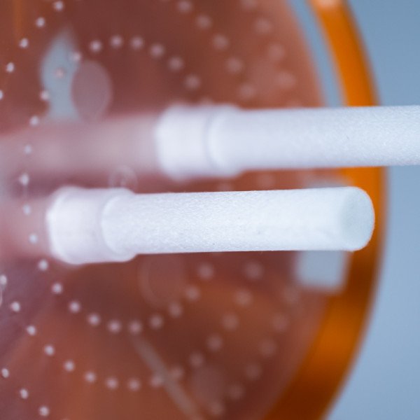 Piège à Frelons Good4Bees