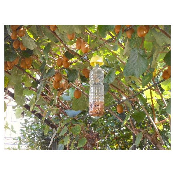 Tap Trap, le sachet de 5 bouchons piègeTap Trap, le sachet de 5 bouchons piège