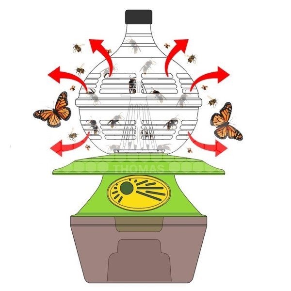 Piège à frelons asiatiques Osaka Sélect type Japonais