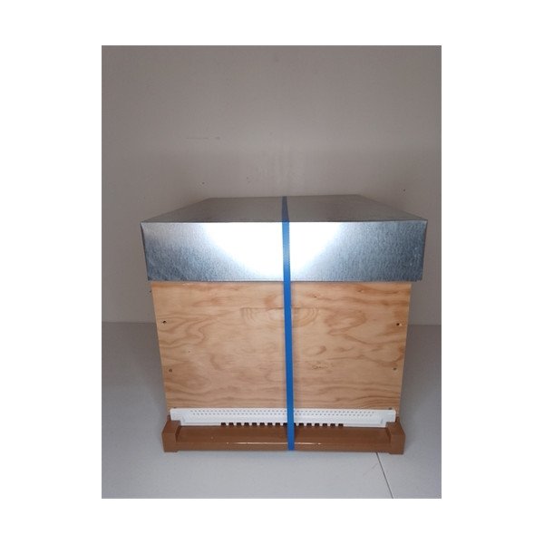 Ruche Complète Filé 