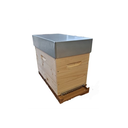 Ruchette complète T1