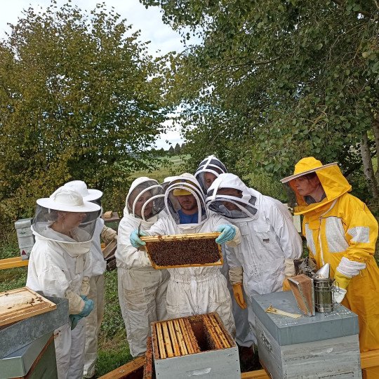 Formation Initiation à l'Apiculture