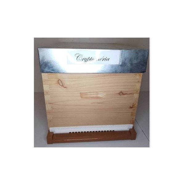 Ruche compléte Dadant 10c Tenon Paulownia