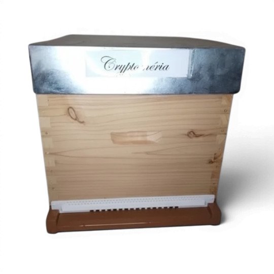 Ruche compléte Dadant 10c Tenon Paulownia
