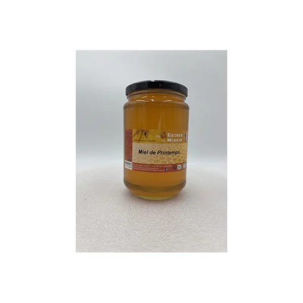 Miel de Printemps - 1kg