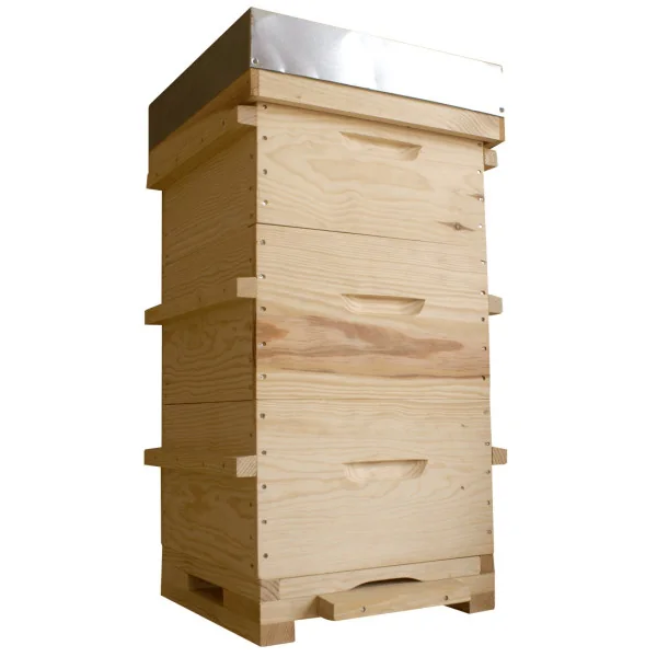 Ruche Warré Complète