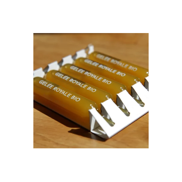 Ampoules de Gelée royale Bio