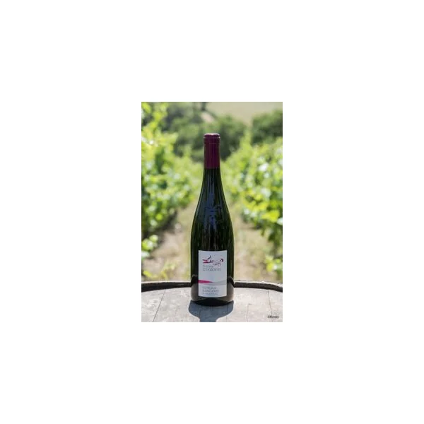 Coteaux D'Ancenis Rouge "Le Vieux Planty" 2021 75cl - Domaine des Galloires