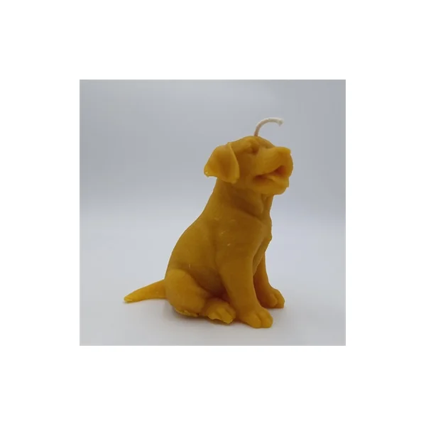 Bougie Cire d'Abeille - Chien Labrador