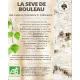 Séve de Bouleau Jus de Pomme et de Poire - Pays de la Loire