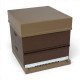 Ruche Complète Nicot Plastique