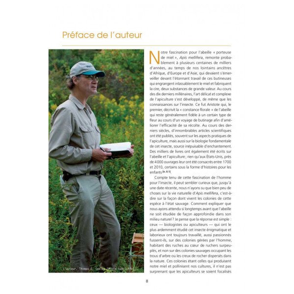 L'abeille à Miel - La Vie Secrete des Colonies Sauvage