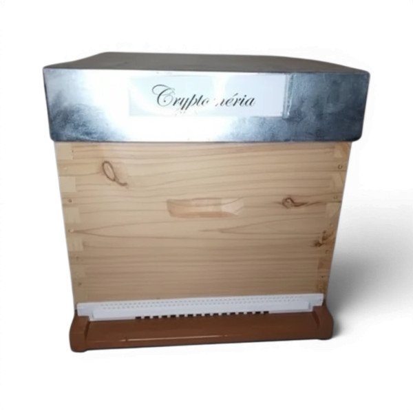 Ruche compléte Dadant 10c Tenon Paulownia