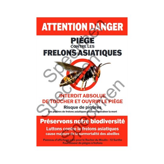 Panneau Attention Frelon 420 x 594 mm